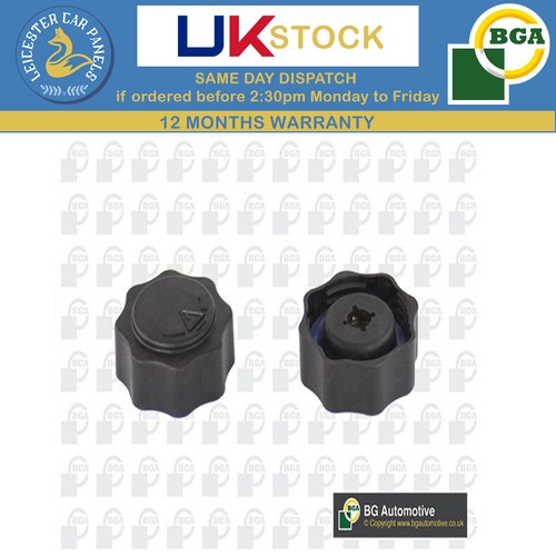 Bga radiator cap for mini - radiator,