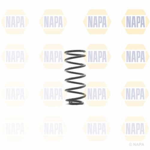 Coil spring rear for mini - rear,